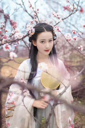 从石器时代开始制霸全球